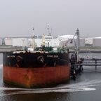 CHANNEL DRAGON