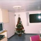 Joulukuusi