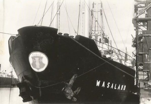 Wasaland